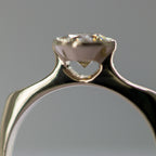 Pina ring image 0