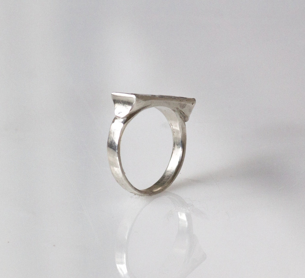 Wrestling Ring image 1