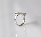 Wrestling Ring image 1