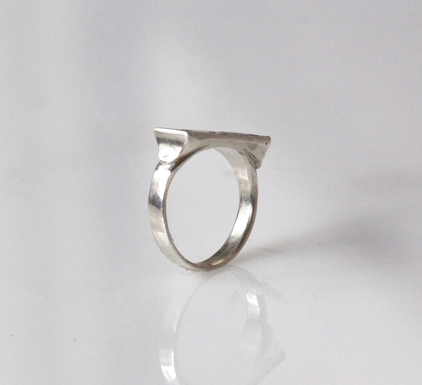 Wrestling Ring image 1