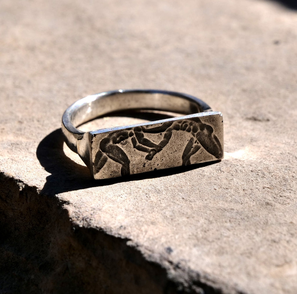 Wrestling Ring image 2