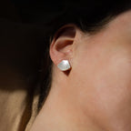 Clam Earrings image 0